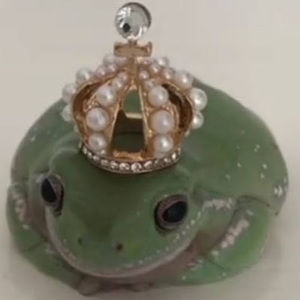 Meet your Posher, Elliott